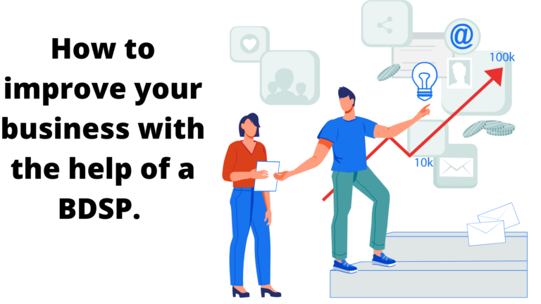 Read more about the article How to improve your business with the help of a BDSP (Free programs)  